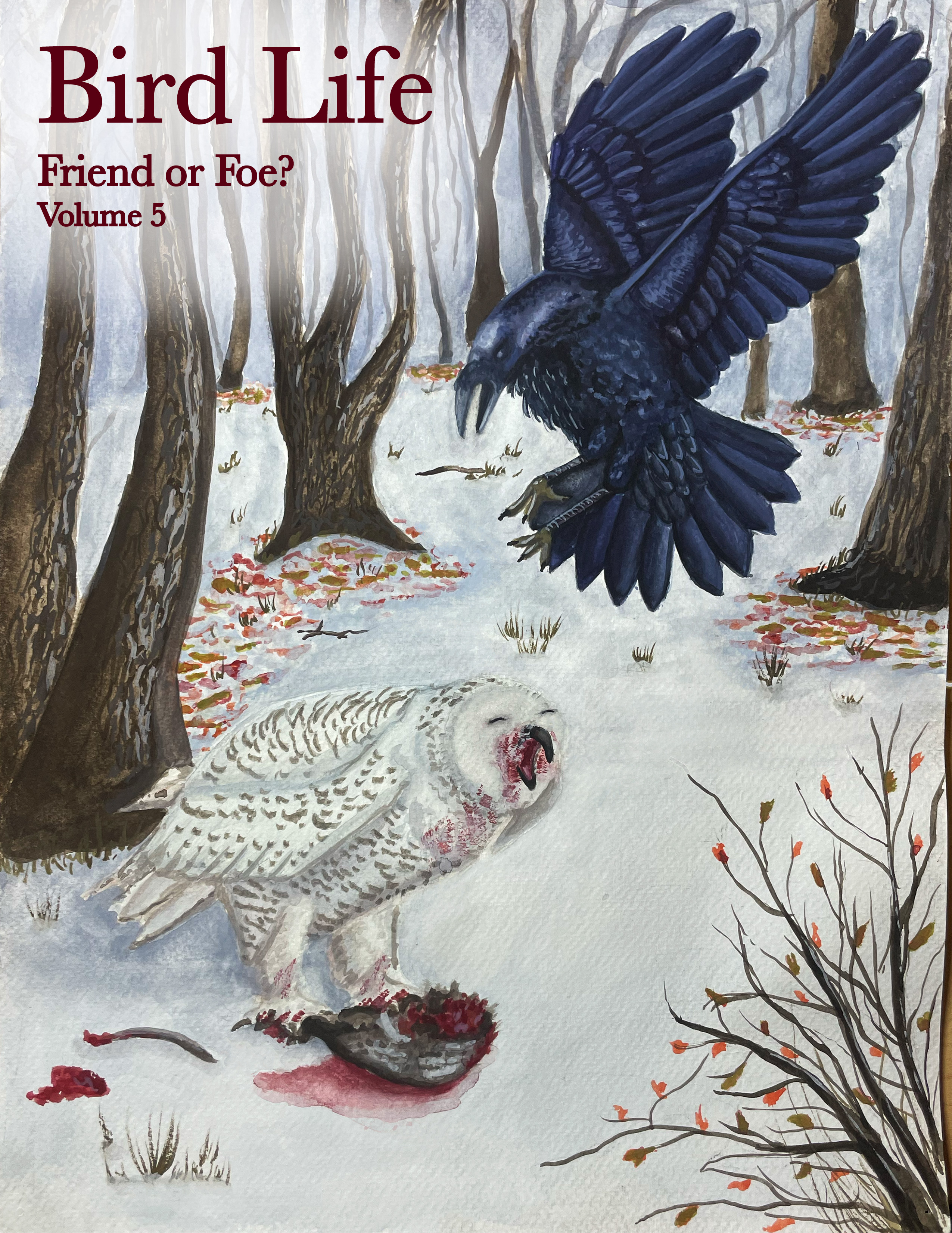 Illustration of 'bird life' book cover