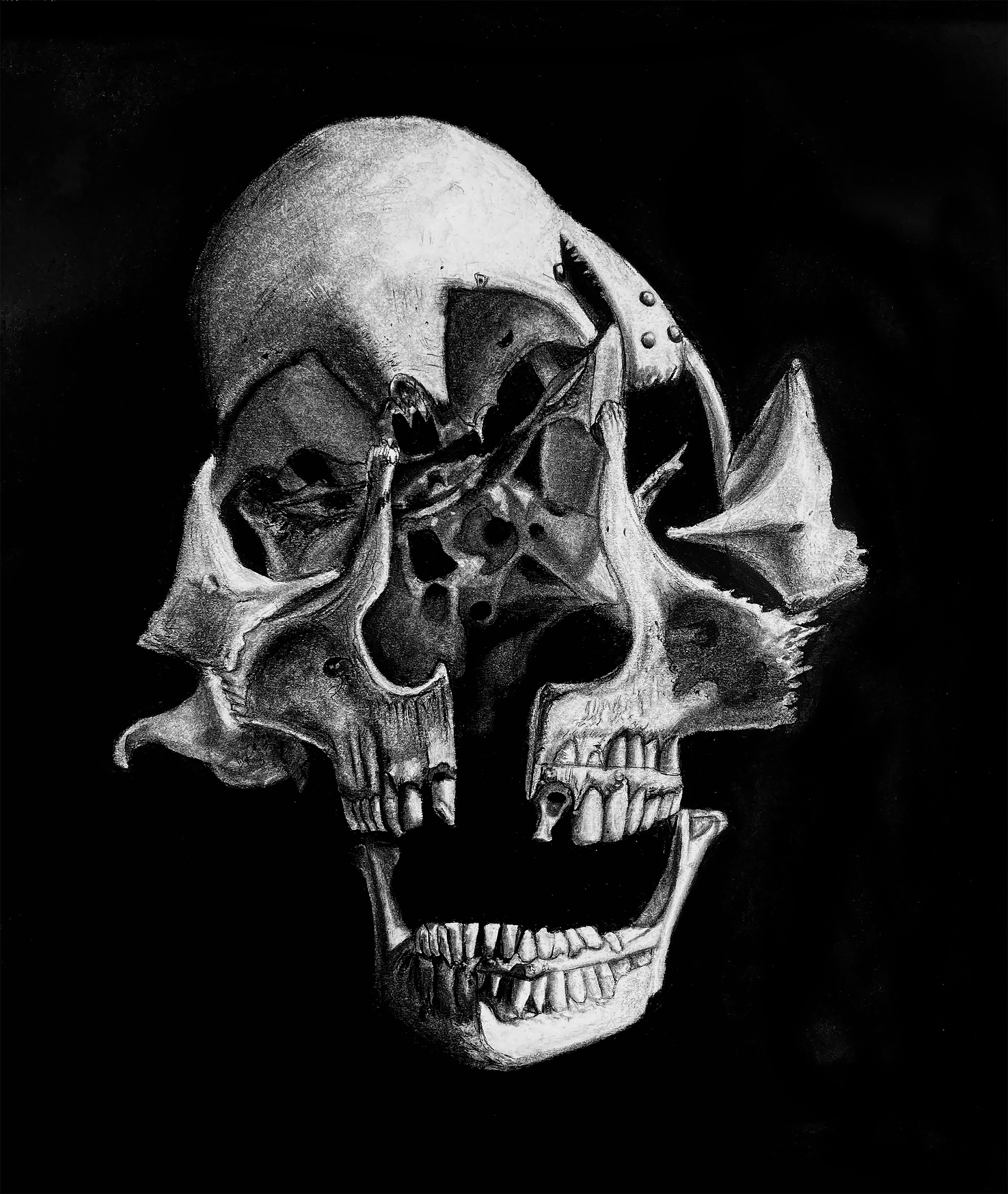 Illustration of exploded skull