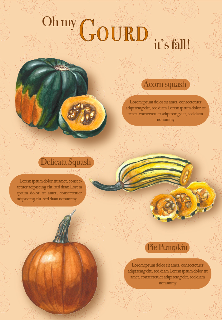 infographic containing gourds